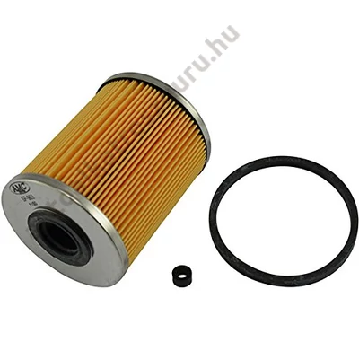Delphi - HDF513 - Üzemanyagszűrő