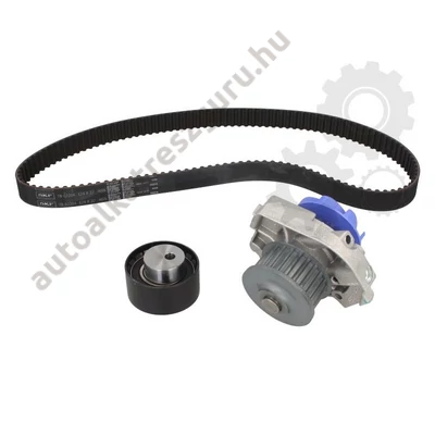 SKF - VKMC02204-2 - Vezérlés készlet ( szíj + görgő + vízpumpa )